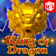 Liên hệ hỗ trợ khách hàng OKKING85 NHÀ CÁI